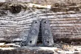 Scroll-Engraved 1911 Remington Logo Grips