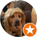 steve solarez profile picture