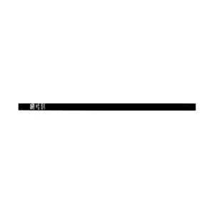 SA Laser Galvo Laser Focus Stick – 300mm